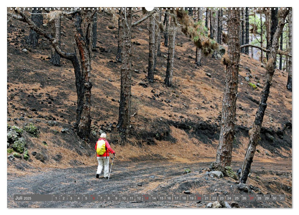 Urlaub auf La Palma (CALVENDO Premium Wandkalender 2025)