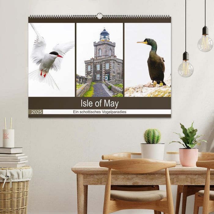 Isle of May - Ein schottisches Vogelparadies (CALVENDO Wandkalender 2025)