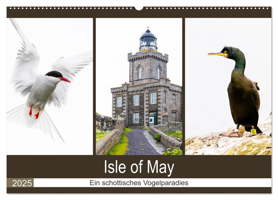 Isle of May - Ein schottisches Vogelparadies (CALVENDO Wandkalender 2025)