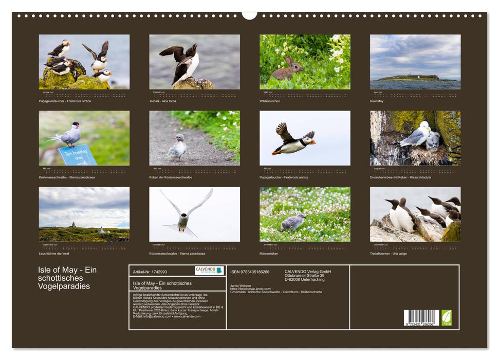 Isle of May - Ein schottisches Vogelparadies (CALVENDO Wandkalender 2025)