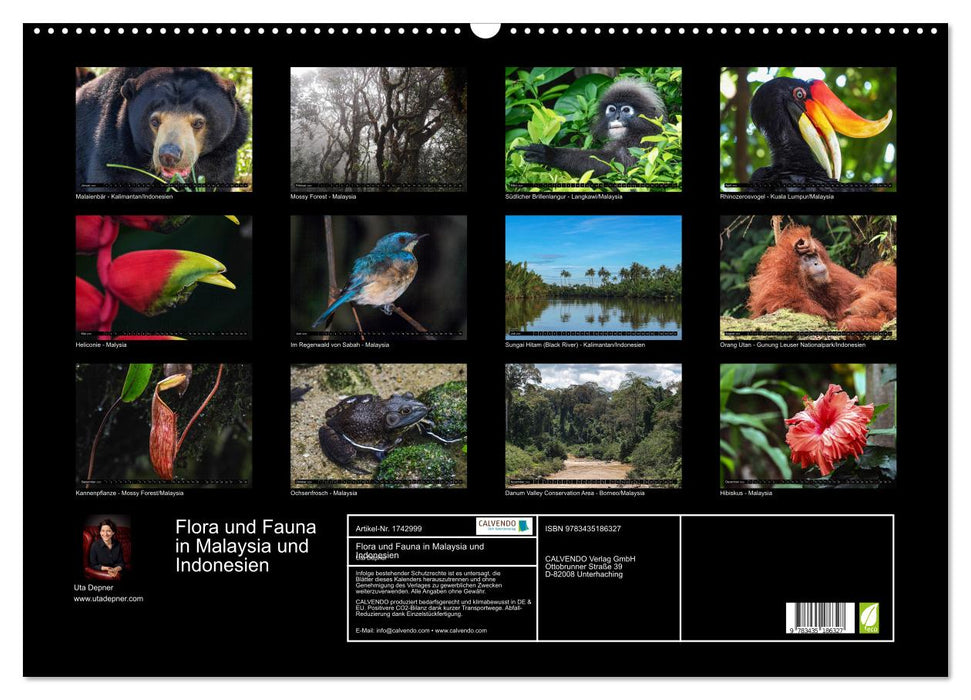 Flora und Fauna in Malaysia und Indonesien (CALVENDO Wandkalender 2025)