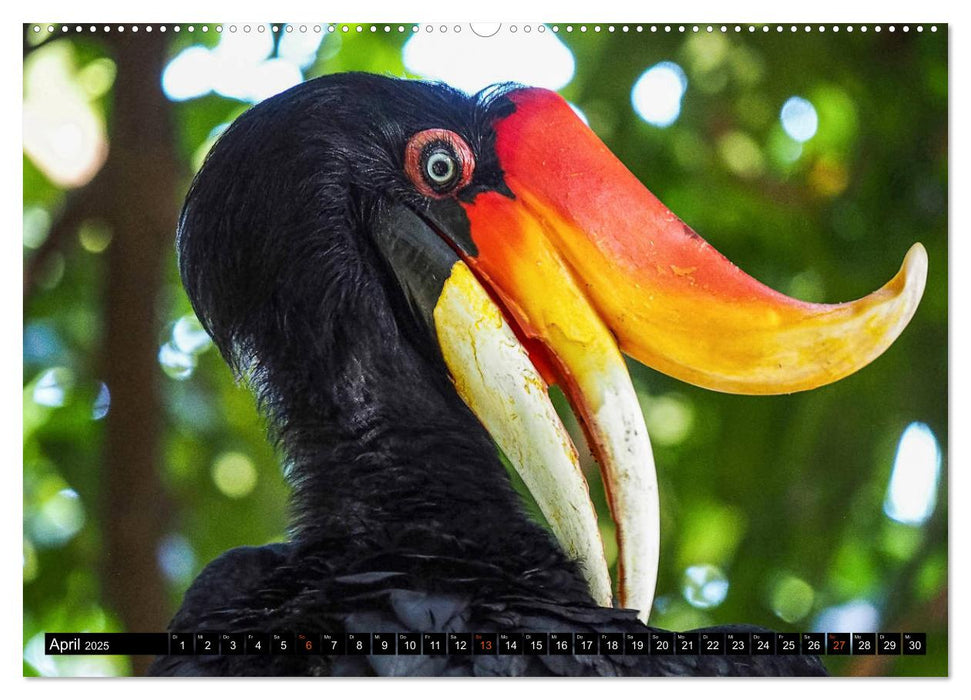 Flora und Fauna in Malaysia und Indonesien (CALVENDO Wandkalender 2025)