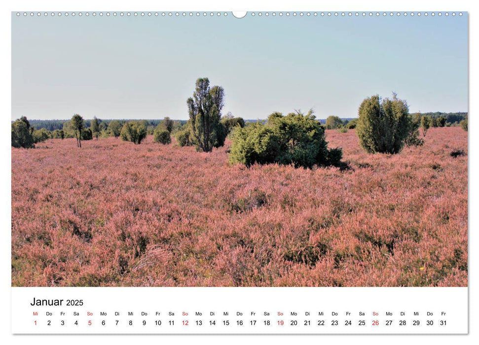 Südheide und Celle (CALVENDO Premium Wandkalender 2025)