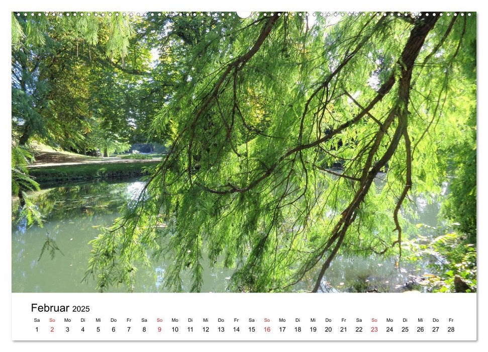 Südheide und Celle (CALVENDO Premium Wandkalender 2025)