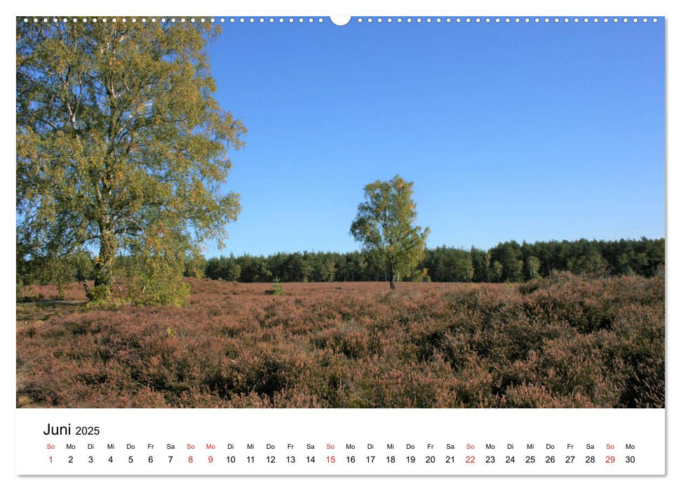 Südheide und Celle (CALVENDO Premium Wandkalender 2025)