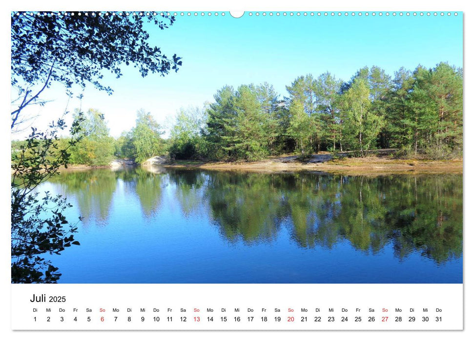 Südheide und Celle (CALVENDO Premium Wandkalender 2025)