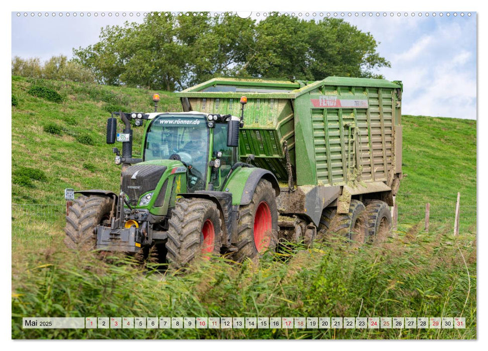 Maisernte am Deich (CALVENDO Premium Wandkalender 2025)