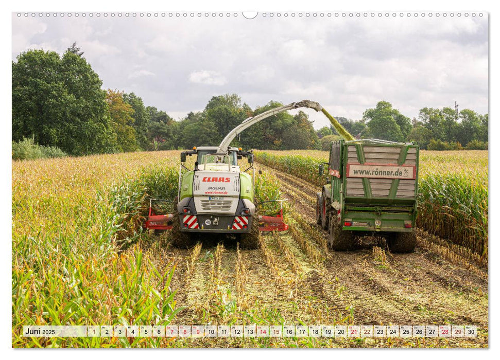 Maisernte am Deich (CALVENDO Premium Wandkalender 2025)