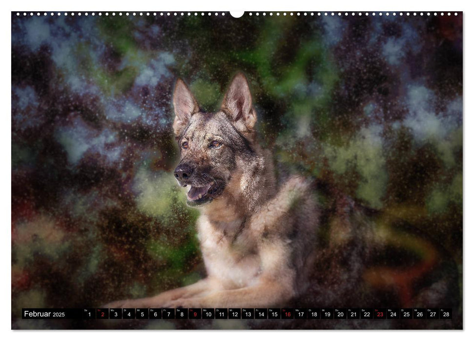 Magische Hunde - Hunde die uns täglich verzaubern (CALVENDO Premium Wandkalender 2025)