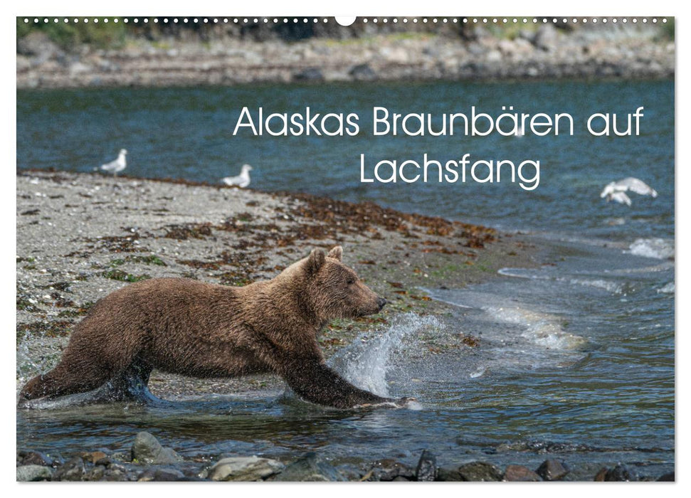 Grizzlybären im Katmai Nationalpark Alaska (CALVENDO Wandkalender 2025)