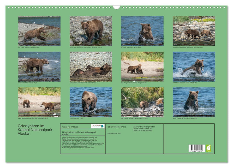 Grizzlybären im Katmai Nationalpark Alaska (CALVENDO Wandkalender 2025)