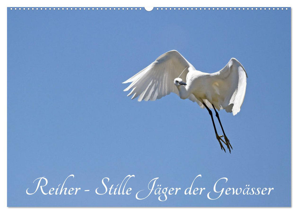 Reiher - Stille Jäger der Gewässer (CALVENDO Wandkalender 2025)