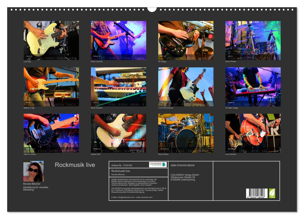 Rockmusik live (CALVENDO Wandkalender 2025)