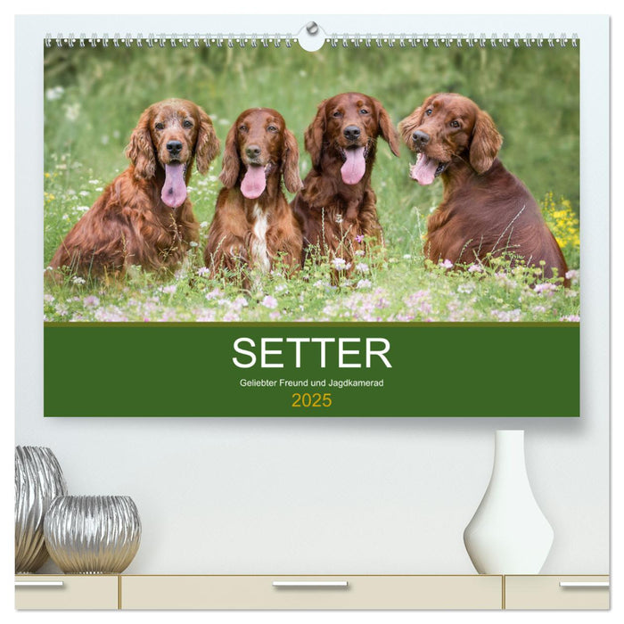 Setter - Geliebter Freund und Jagdkamerad (CALVENDO Premium Wandkalender 2025)