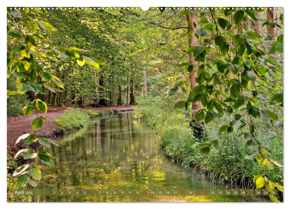 Augsburg - Stadt des Wassers zwischen Lech und Wertach (CALVENDO Premium Wandkalender 2025)