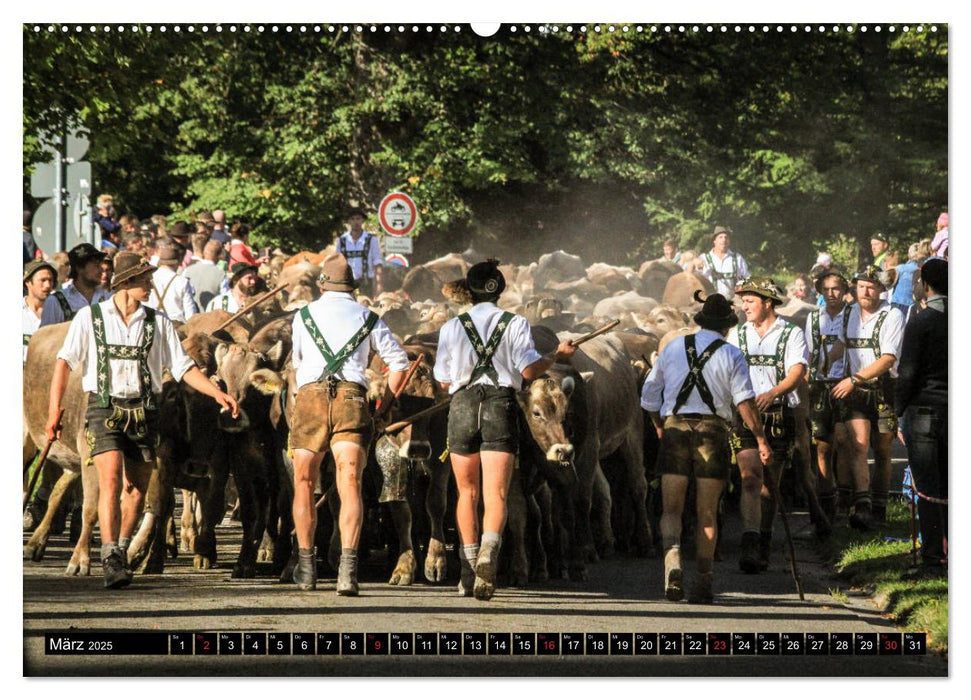 Faszination Allgäu (CALVENDO Premium Wandkalender 2025)