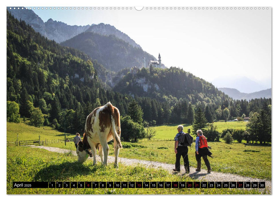 Faszination Allgäu (CALVENDO Premium Wandkalender 2025)