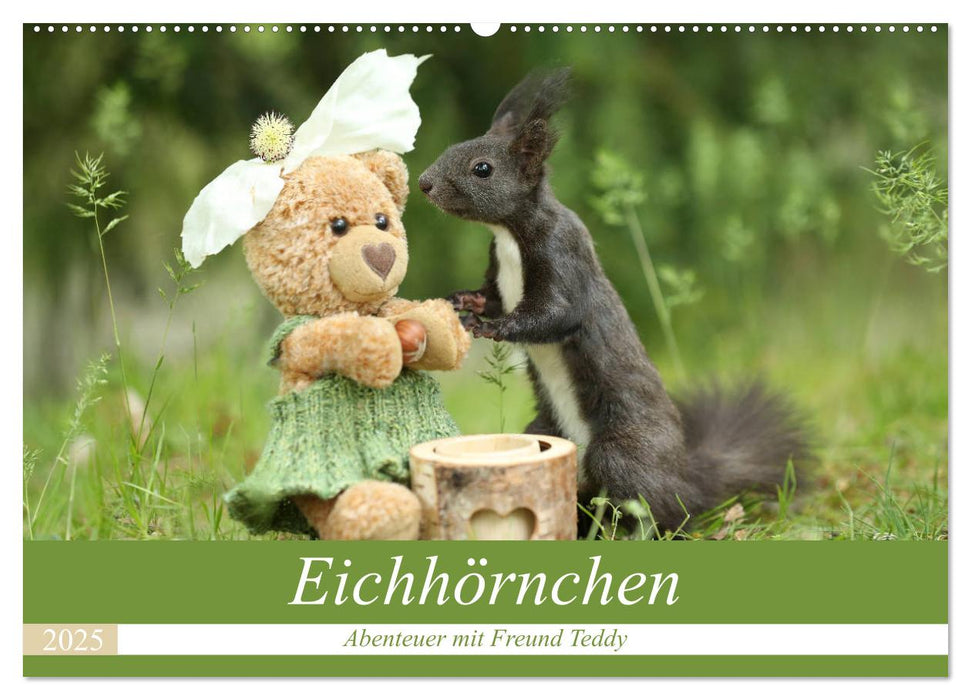 Eichhörnchen - Abenteuer mit Freund Teddy (CALVENDO Wandkalender 2025)