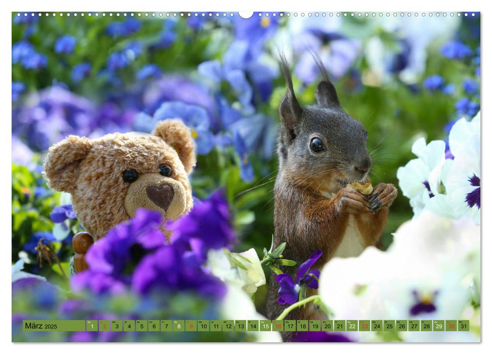 Eichhörnchen - Abenteuer mit Freund Teddy (CALVENDO Wandkalender 2025)