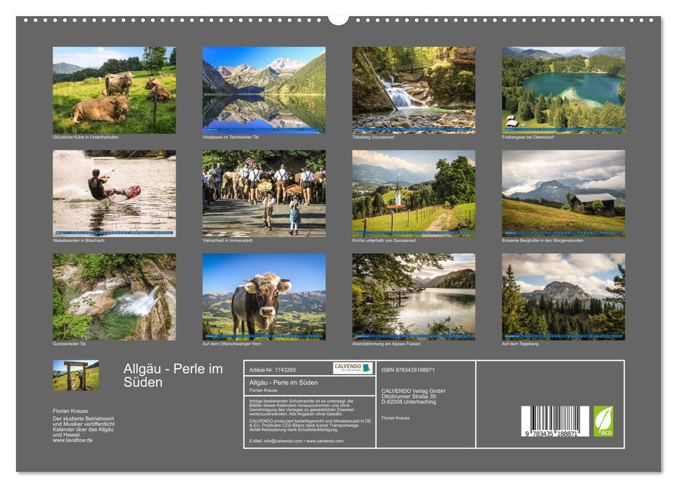 Allgäu - Perle im Süden (CALVENDO Premium Wandkalender 2025)