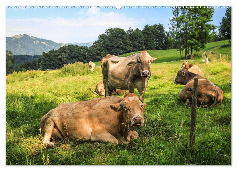 Allgäu - Perle im Süden (CALVENDO Premium Wandkalender 2025)