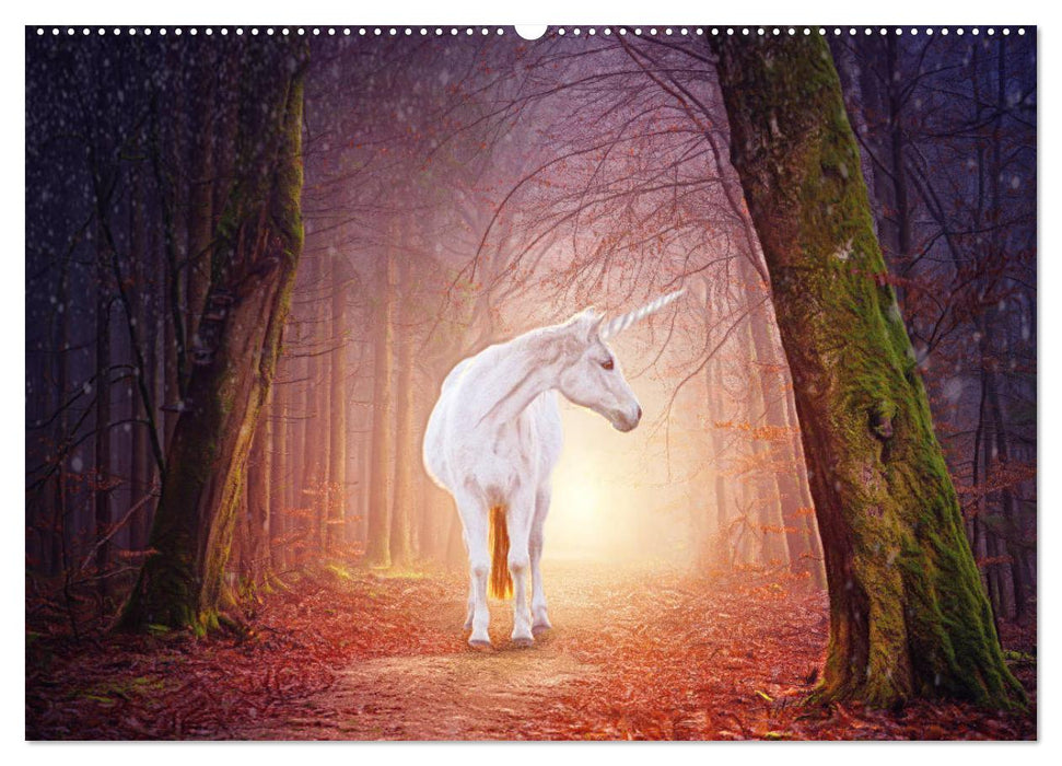 Einhorn Welt - verträumte Einhornbilder (CALVENDO Premium Wandkalender 2025)