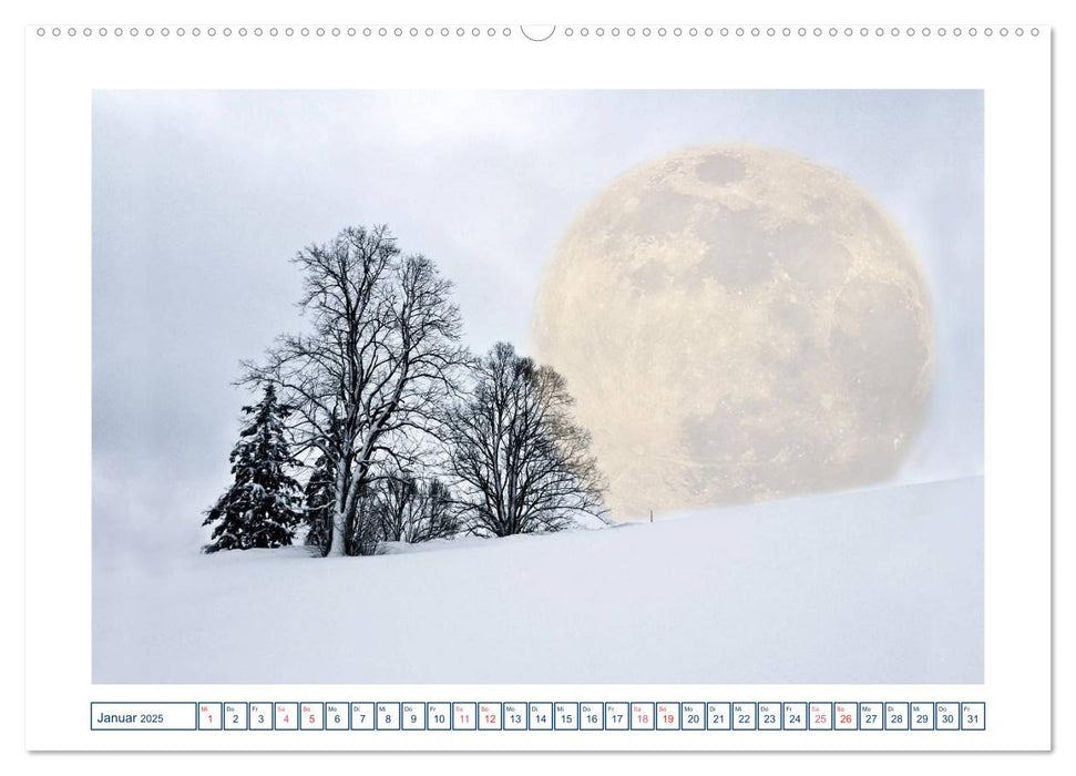 MoonMania (CALVENDO Wandkalender 2025)