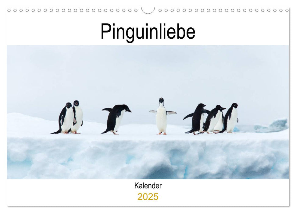 Pinguinliebe (CALVENDO Wandkalender 2025)