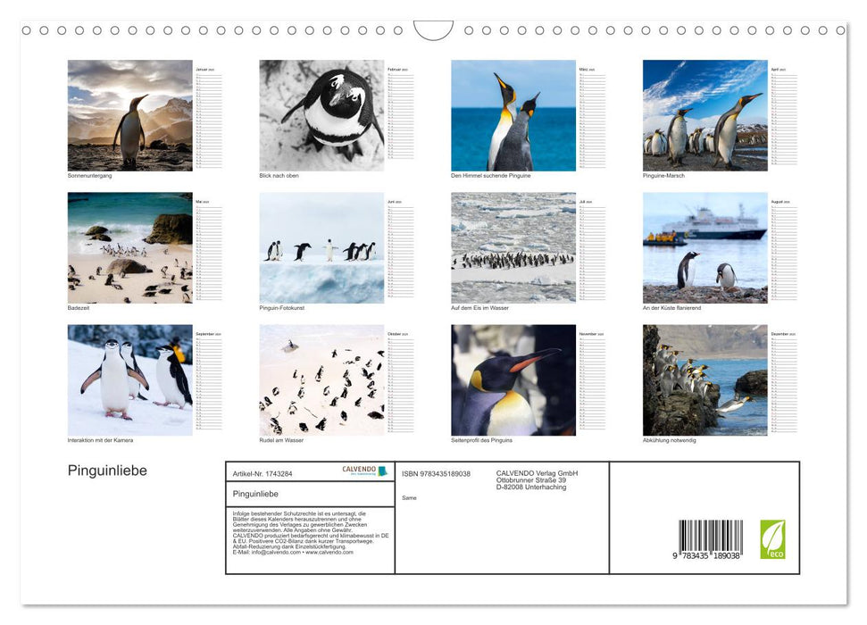 Pinguinliebe (CALVENDO Wandkalender 2025)