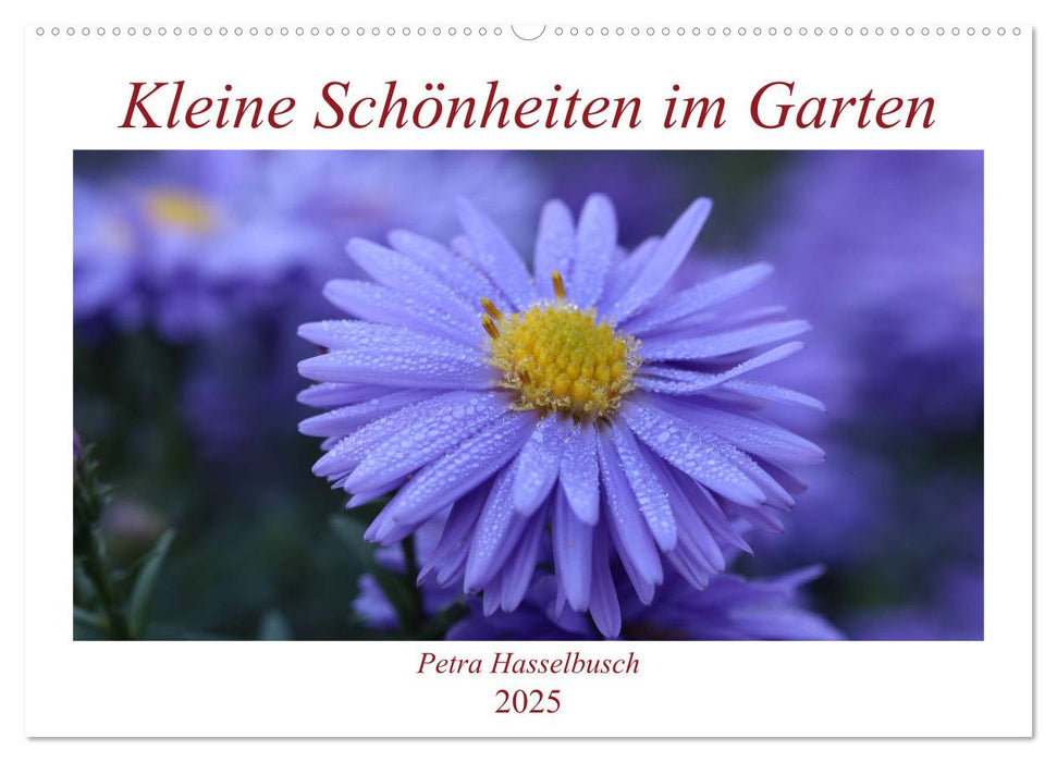 Kleine Schönheiten im Garten (CALVENDO Wandkalender 2025)