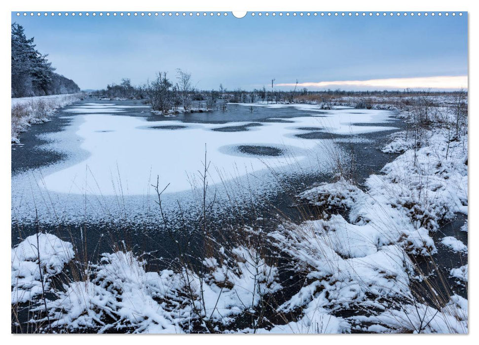 Niedersachsens Natur (CALVENDO Premium Wandkalender 2025)