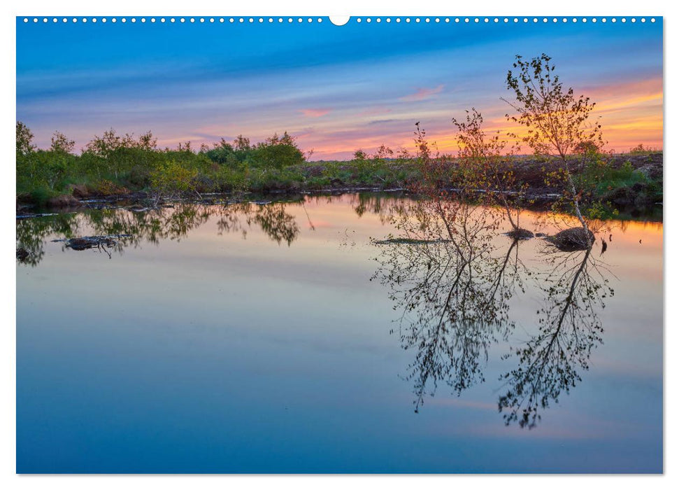 Niedersachsens Natur (CALVENDO Premium Wandkalender 2025)