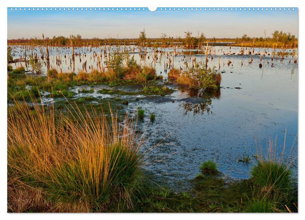 Niedersachsens Natur (CALVENDO Premium Wandkalender 2025)