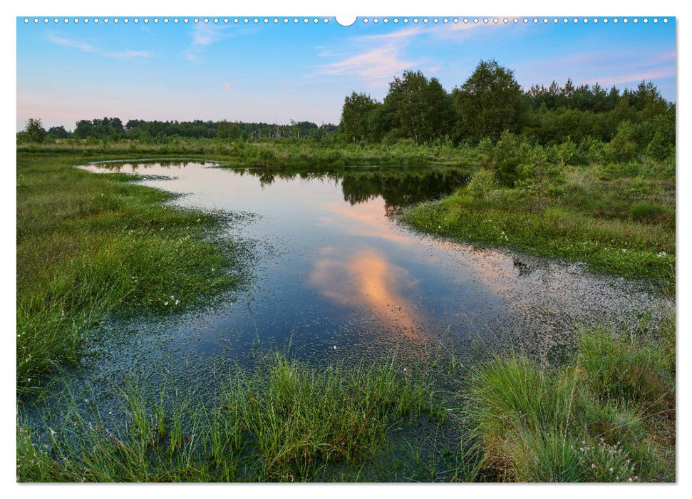 Niedersachsens Natur (CALVENDO Premium Wandkalender 2025)