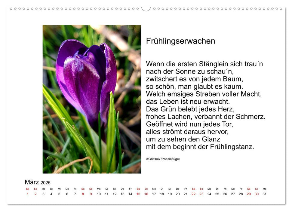 Poesieflügel 2025 (CALVENDO Wandkalender 2025)