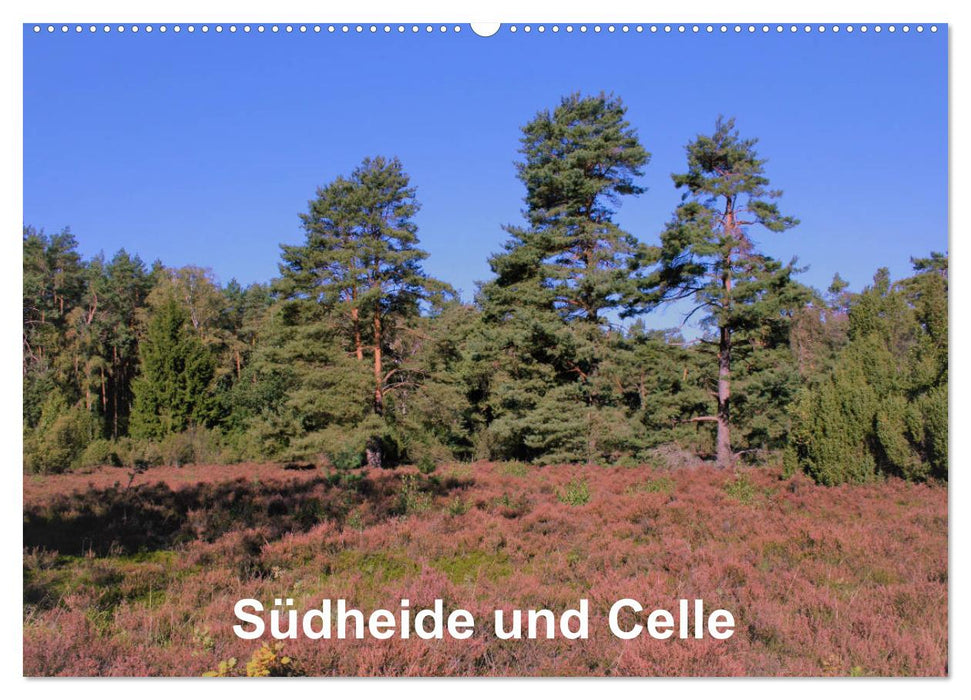 Südheide und Celle (CALVENDO Wandkalender 2025)