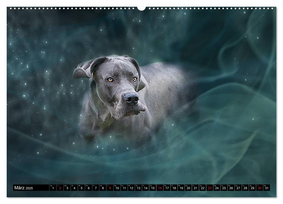 Magische Hunde - Hunde die uns täglich verzaubern (CALVENDO Wandkalender 2025)