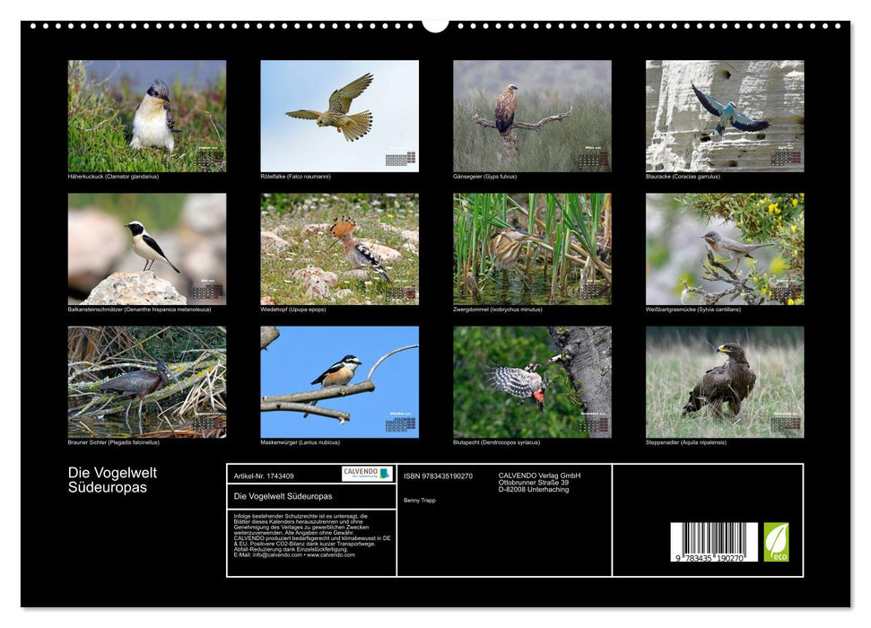 Die Vogelwelt Südeuropas (CALVENDO Premium Wandkalender 2025)