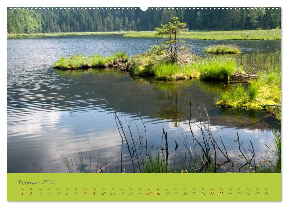 Der Bayerische Wald (CALVENDO Premium Wandkalender 2025)