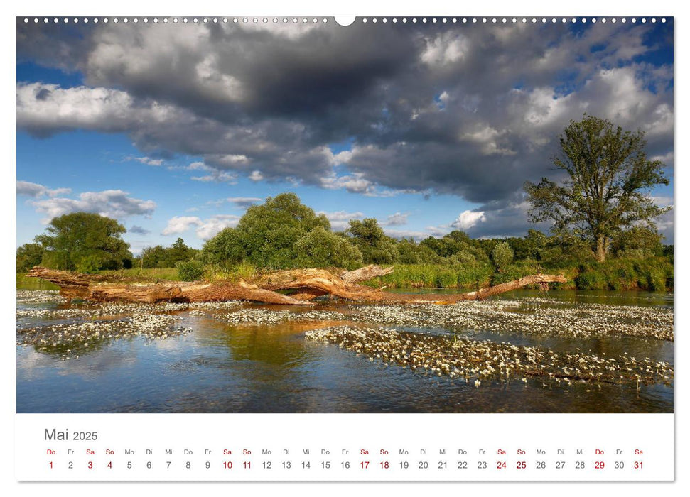 Dessau Design und ein schöner Park (CALVENDO Premium Wandkalender 2025)