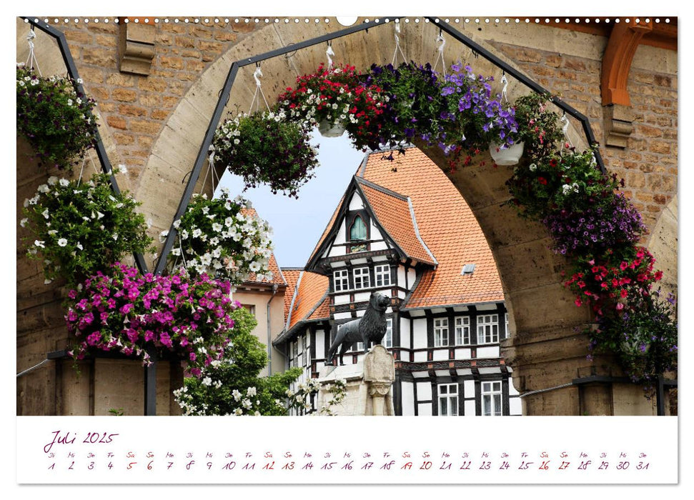 Braunschweig Im Zeichen des Löwen (CALVENDO Premium Wandkalender 2025)