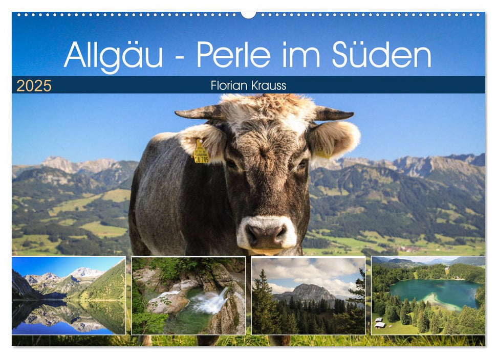 Allgäu - Perle im Süden (CALVENDO Wandkalender 2025)