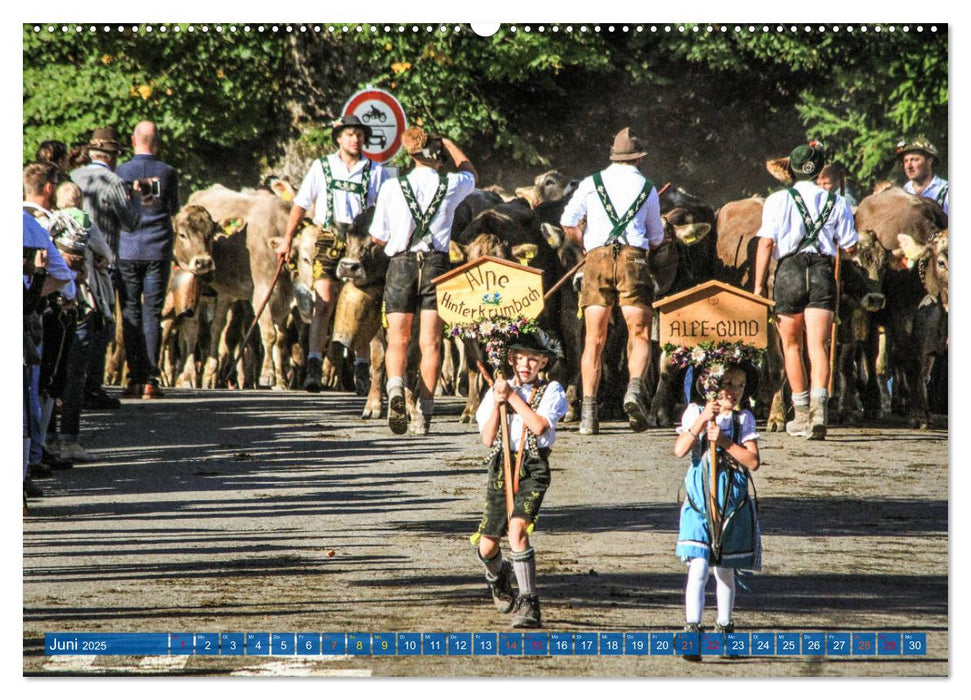 Allgäu - Perle im Süden (CALVENDO Wandkalender 2025)