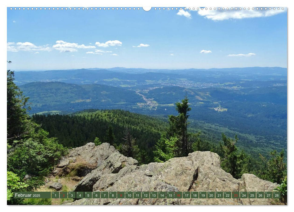 Wandererlebnisse im Bayrischen Wald (CALVENDO Premium Wandkalender 2025)