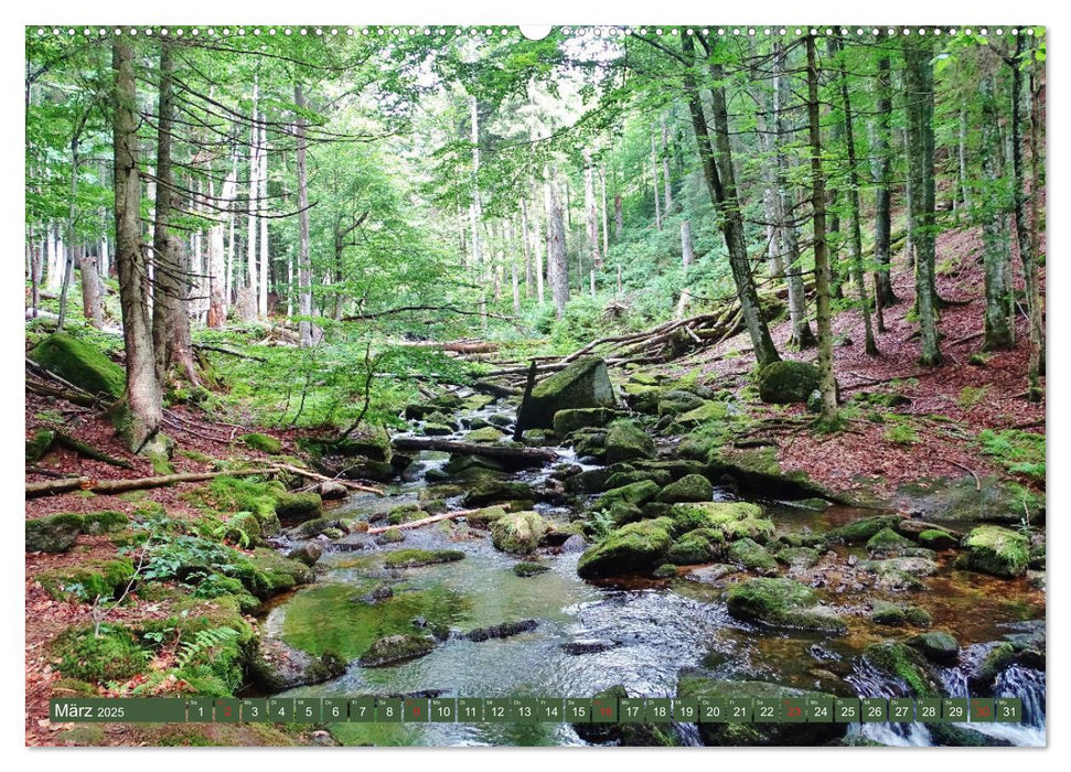 Wandererlebnisse im Bayrischen Wald (CALVENDO Premium Wandkalender 2025)