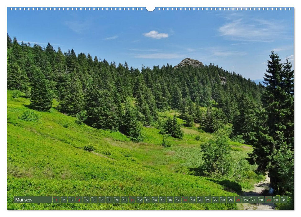 Wandererlebnisse im Bayrischen Wald (CALVENDO Premium Wandkalender 2025)