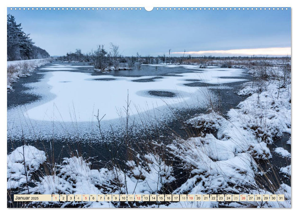 Niedersachsens Natur (CALVENDO Wandkalender 2025)