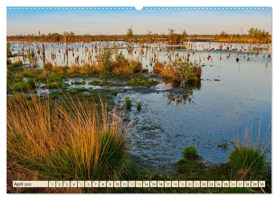 Niedersachsens Natur (CALVENDO Wandkalender 2025)