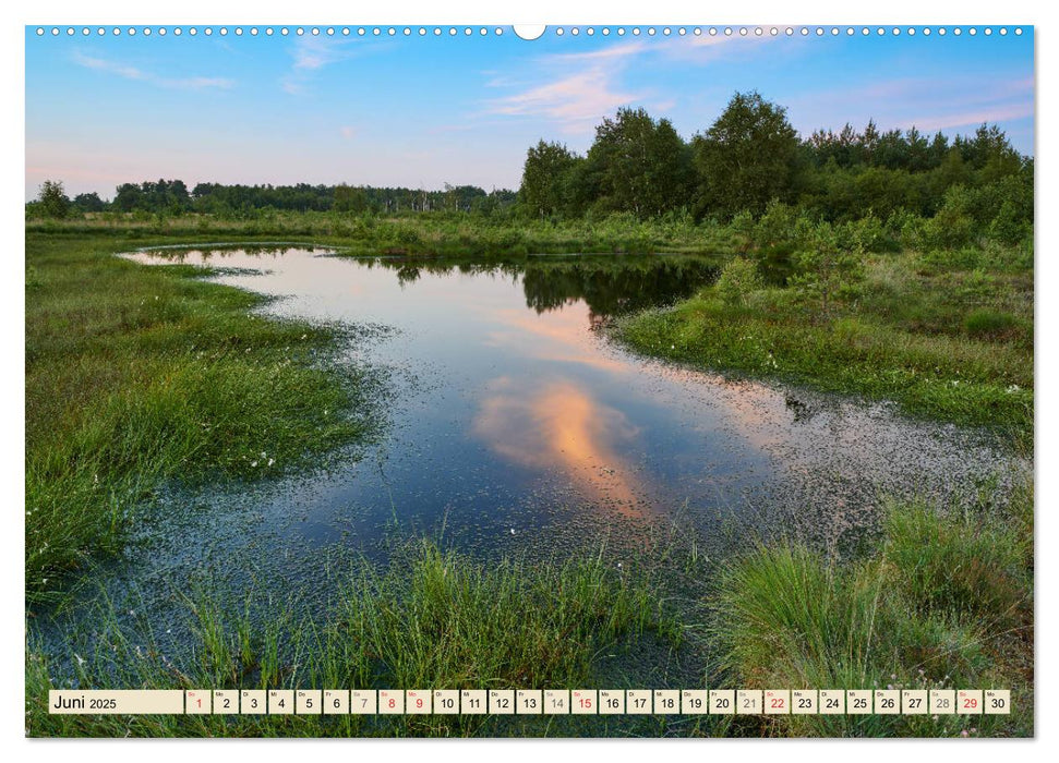 Niedersachsens Natur (CALVENDO Wandkalender 2025)