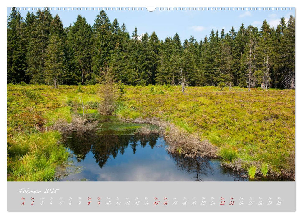 Thüringer Wald Das Grüne Herz Deutschlands (CALVENDO Premium Wandkalender 2025)